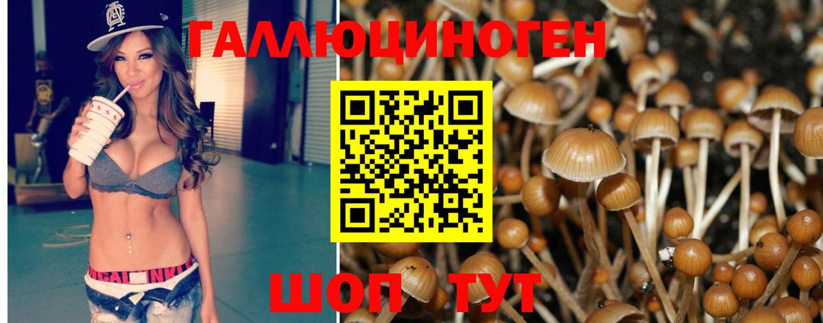 Псилоцибиновые грибы Psilocybine cubensis  Галлюциногенные грибы мицелий  наркотики  Нефтекумск  Вход с VPN 